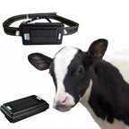 4G Solar GPS Collar Tracker for Livestock & Cattle with 20,000mAh Battery - IP67 Waterproof