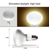 UVA+UVB Heating & Calcium Bulb — Waterproof Basking Lamp, 25W-100W, 220V