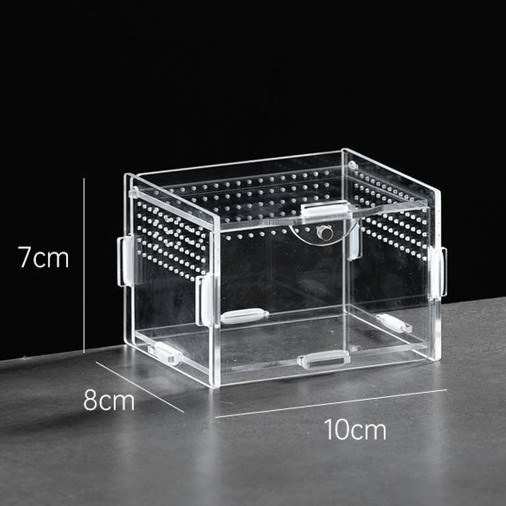 Clear Acrylic Reptile Breeding Box — Ventilated Habitat, Multiple Sizes