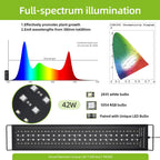 Full Spectrum Aquarium LED Light with Remote (30–60cm, IP68)