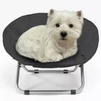 Portable Foldable Pet Moon Chair for Outdoor Camping
