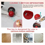 Cat Training Leaky Ball with Chirping Bird — Interactive Slow Feeder Toy