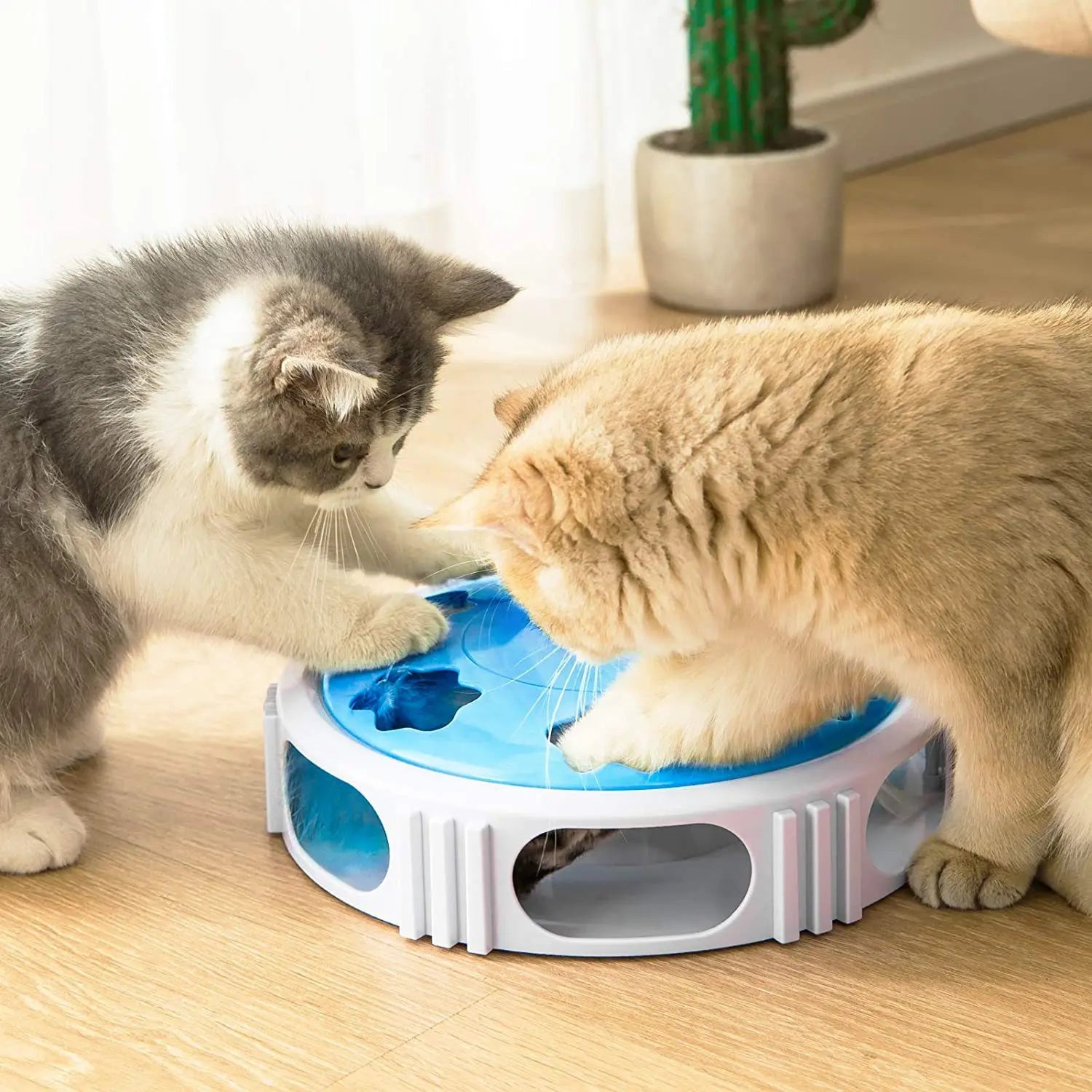 LED Cat Turntable Feather Toy — Auto-Rotating Light-Up Play