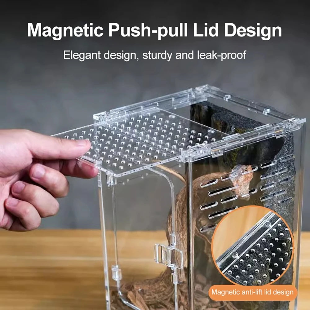 Acrylic Transparent Reptile Breeding Box — Ventilated Terrarium for Spiders & Insects