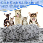 Soft Fluffy Pet Blanket — Cartoon Print Cotton Throw for Cats & Dogs