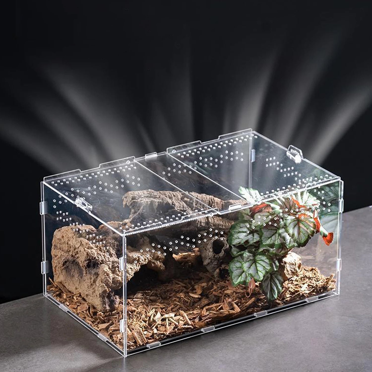 Clear Acrylic Reptile Breeding Box — Ventilated Habitat, Multiple Sizes