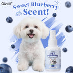 Blueberry Pet Deodorizing Spray — Natural, Long-Lasting Freshness for Dogs & Cats