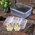 Reptile Egg Incubator Tray — 16-Grid Hatching Case for Lizard & Snake Eggs