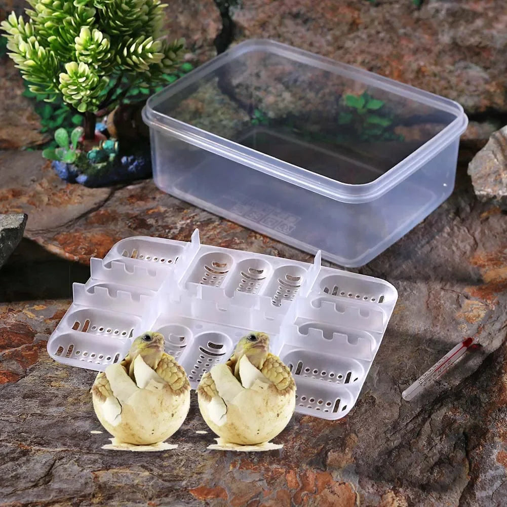 Reptile Egg Incubator Tray — 16-Grid Hatching Case for Lizard & Snake Eggs