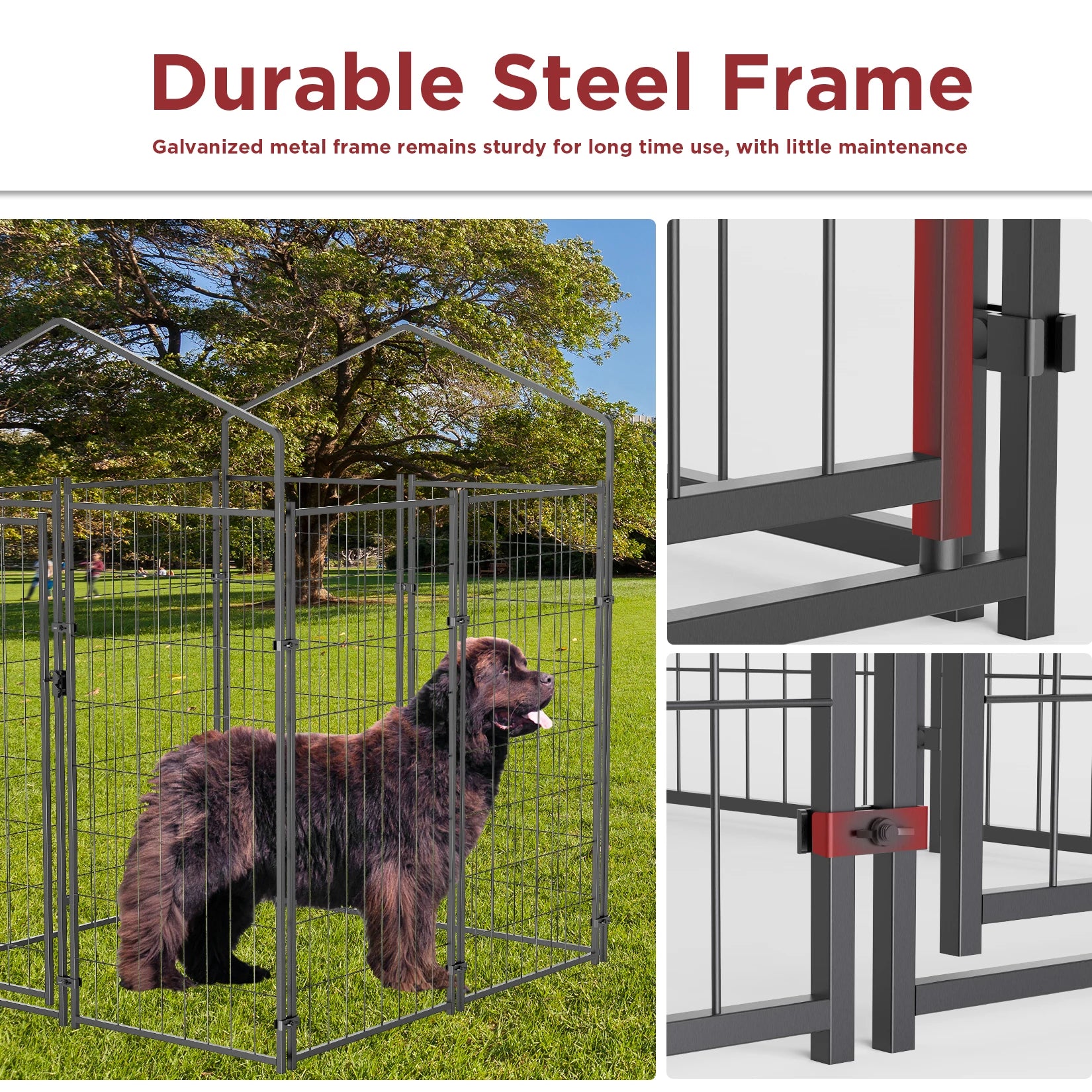 Heavy-Duty Outdoor Dog Kennel with Roof & Cover