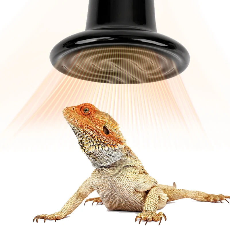No-Light Ceramic Heat Bulb — Far-Infrared E27 Heater, 25W-200W, Small & Big Sizes