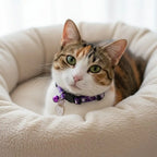 Quick-Release Safety Cat Collar — Cat Face Pendant & Bell