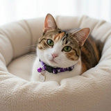Quick-Release Safety Cat Collar — Cat Face Pendant & Bell