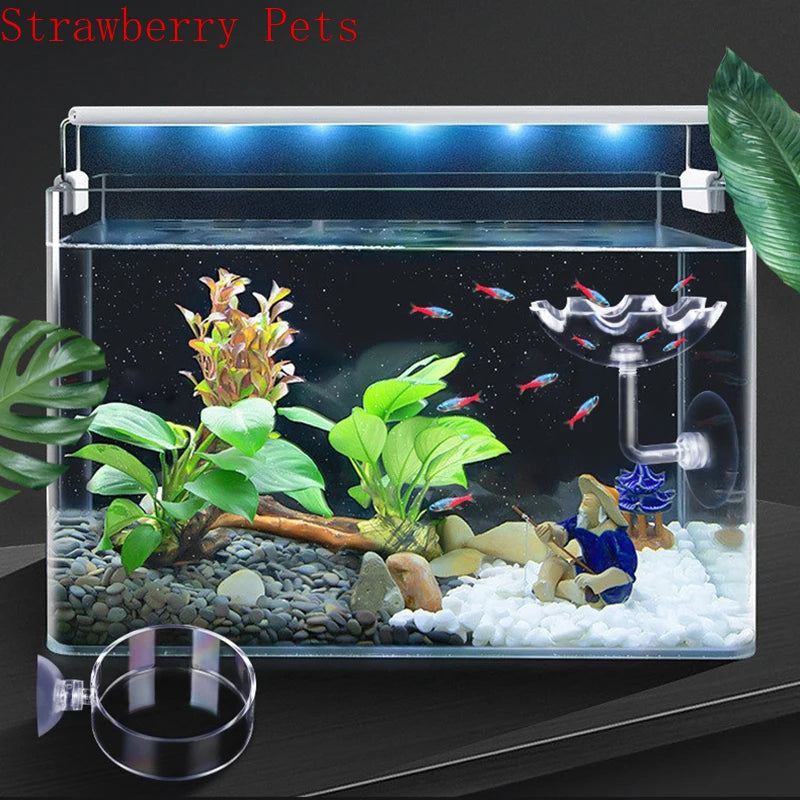 Glass Aquarium Shrimp Feeding Ring & Feeder Dish (Transparent, Floating, Bottom)