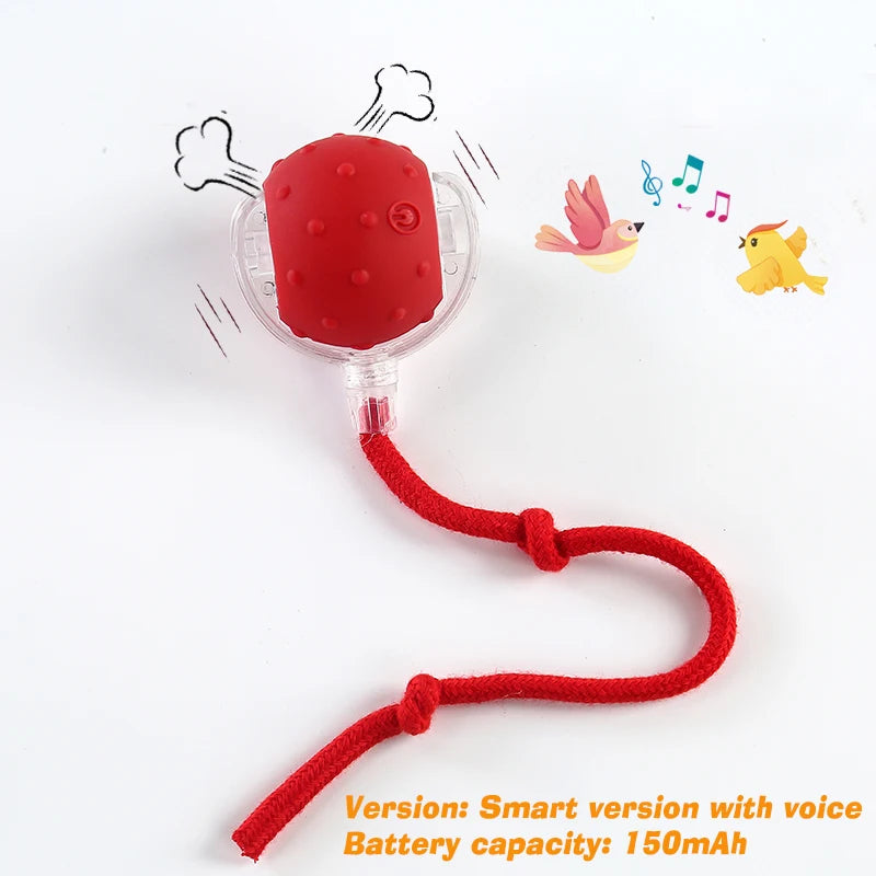 Automatic Rolling Dog Ball Toy (Rechargeable Interactive)