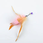 Suction Cup Feather & Bell Cat Teaser