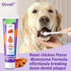 Pet Toothpaste & Toothbrush Set — Chicken-Flavored Plaque & Tartar Control