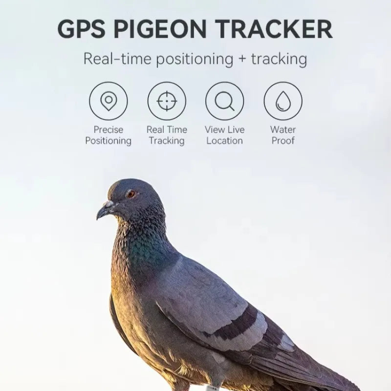 Pigeon GPS Racing Tracker Ring - Real-Time Electronic Positioning for Racing Birds