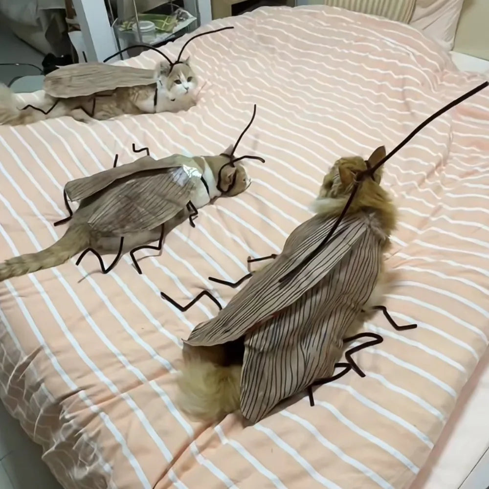 Cat Cockroach Costume Kit — Funny DIY Cosplay Dress-Up Accessory