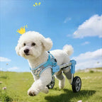 Adjustable Pet Wheelchair Mobility Aid Cart for Disabled & Rehabilitating Dogs & Cats