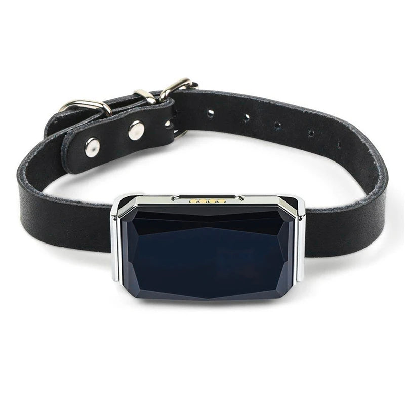 GPS Pet Tracker with Real-Time Call & Remote Control for Dogs & Cats