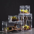 Acrylic Reptile Breeding Box — Ventilated Enclosure for Spiders & Small Reptiles
