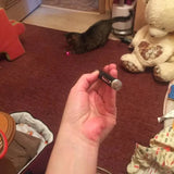 Cat Laser Pointer & LED Flashlight Toy (2-in-1 Interactive Toy)