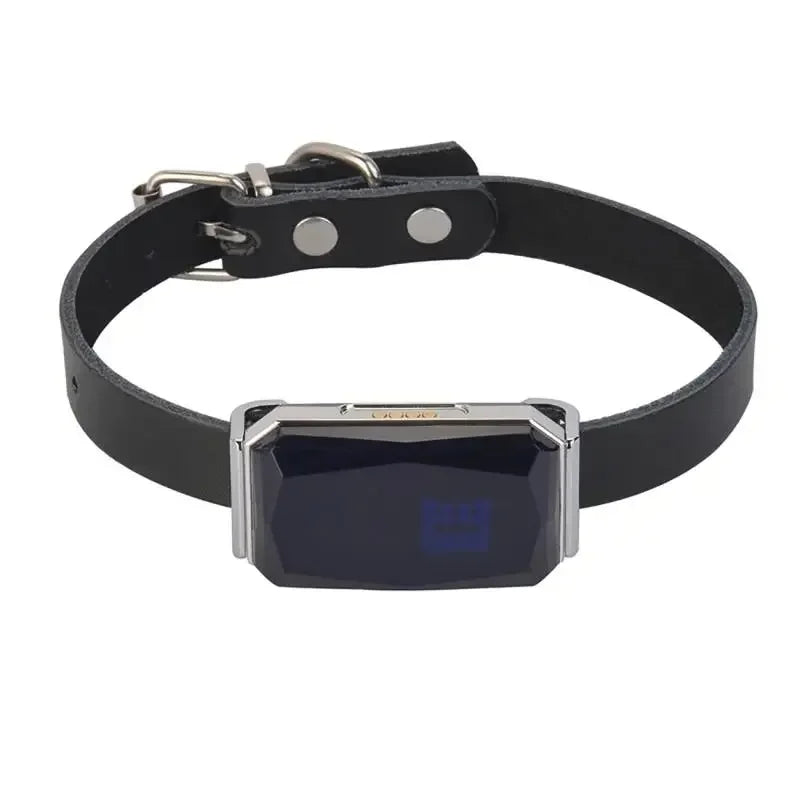 IP67 Waterproof WiFi GPS Pet Collar with LED Light - Anti-Loss for Dogs & Kids