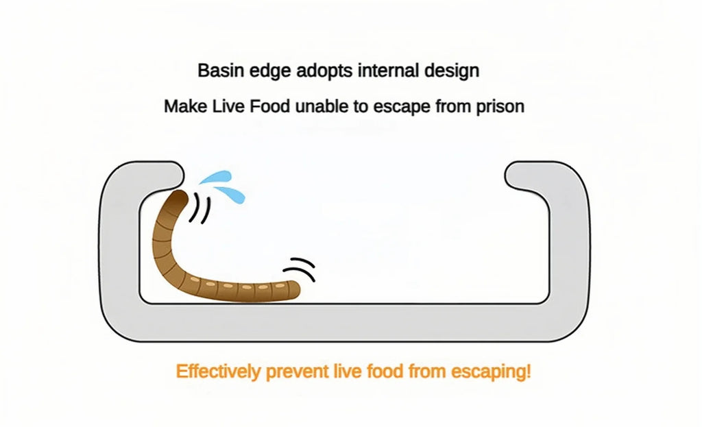 Ceramic Anti-Escape Feeder Bowl — Round & Fan-Shaped Dish for Lizards & Bearded Dragons