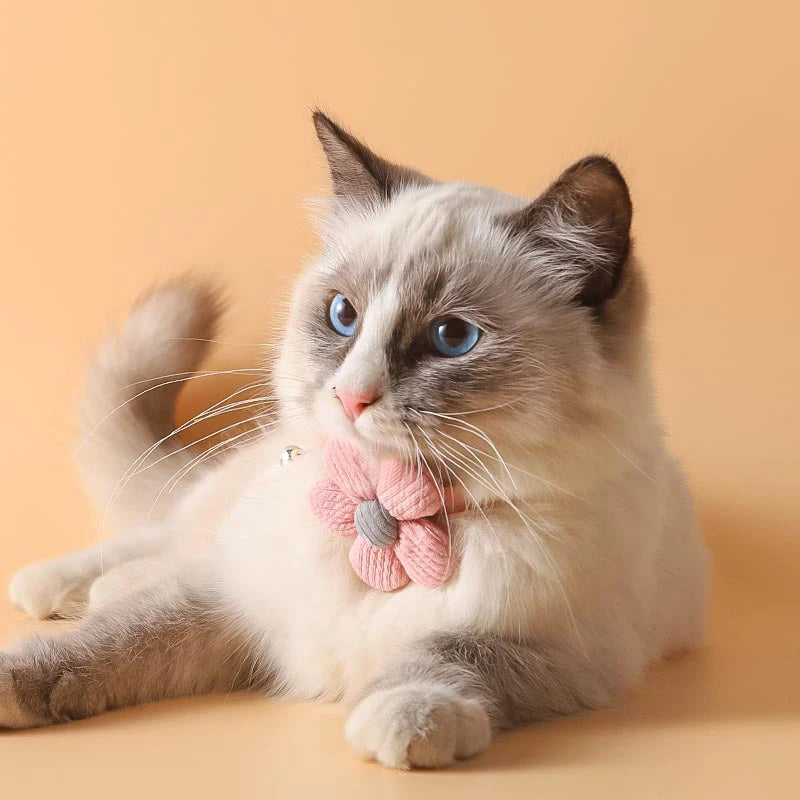 Sunflower Bowtie Cat Collar with Bell