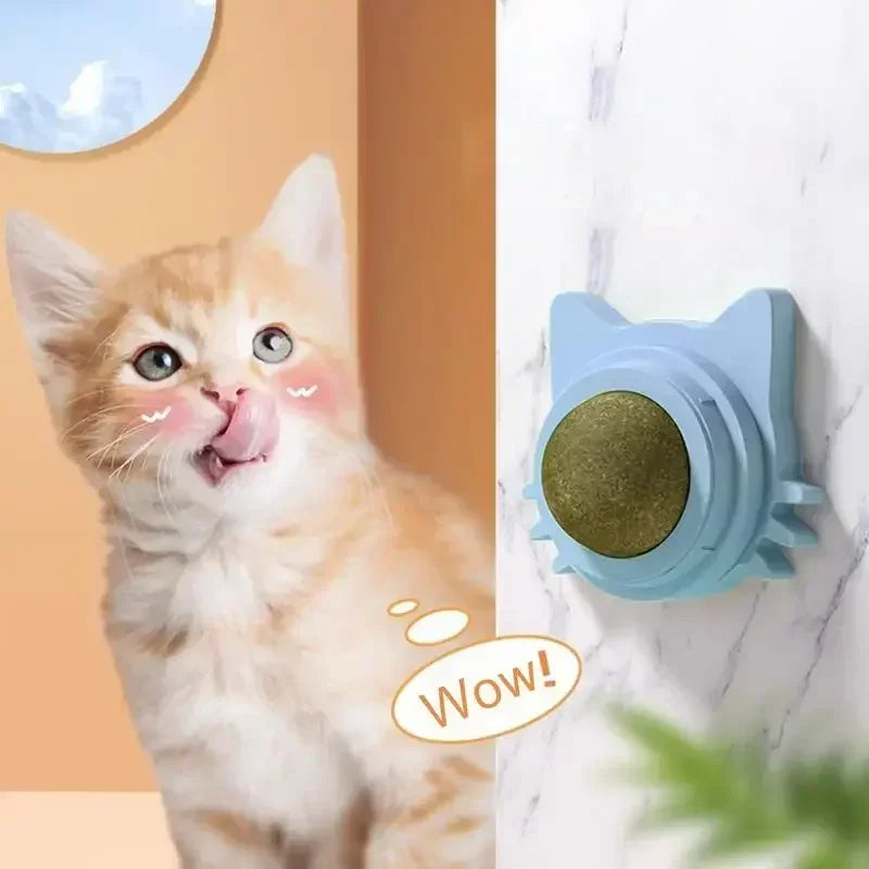 Catnip Ball Cat Treats