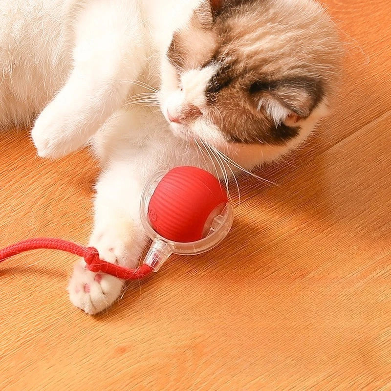 Electric Rolling Ball Toy — USB Rechargeable Auto-Move for Cats & Dogs