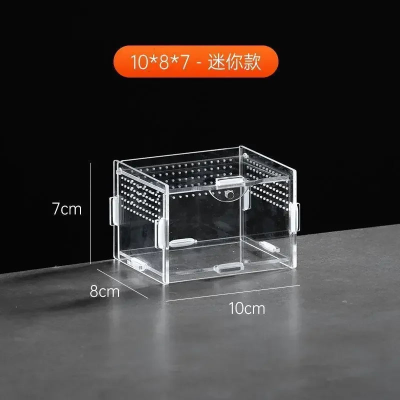 Acrylic Nano Terrarium — Ventilated Enclosure for Tarantulas & Small Reptiles