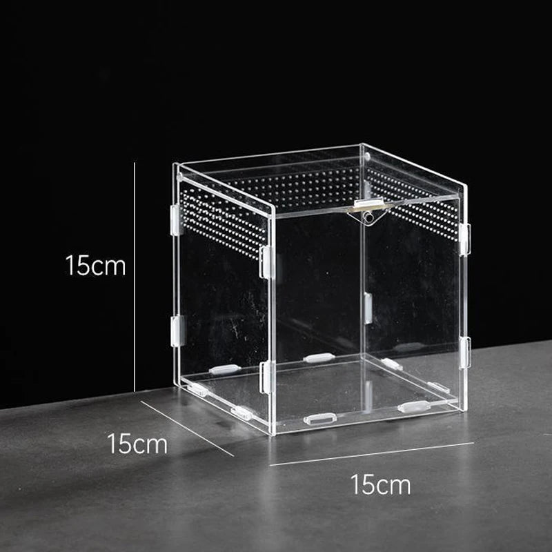 Acrylic Reptile Breeding Box — Ventilated Enclosure for Spiders & Small Reptiles