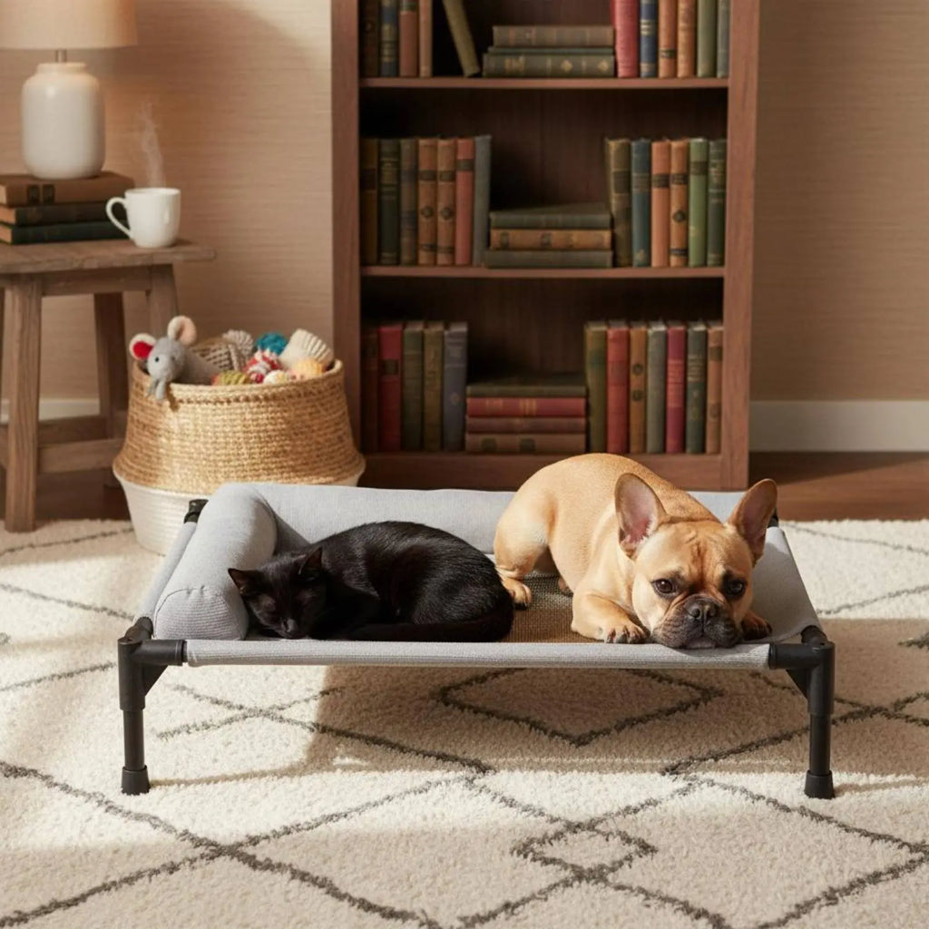 Elevated All-Season Pet Cot with Pillow Support