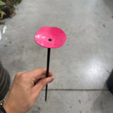 Hummingbird & Butterfly Nectar Feeder — Hanging Drinking Station