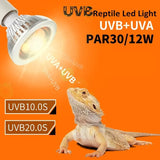 LED UVA/UVB Reptile Basking Lamp — 10.0/20.0 UV Bulb, E27, With Optional Stand