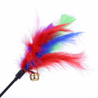 Feather & Bell Cat Teaser Wand (5-Pack)