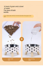 Raised Stainless Steel Pet Feeder Bowl