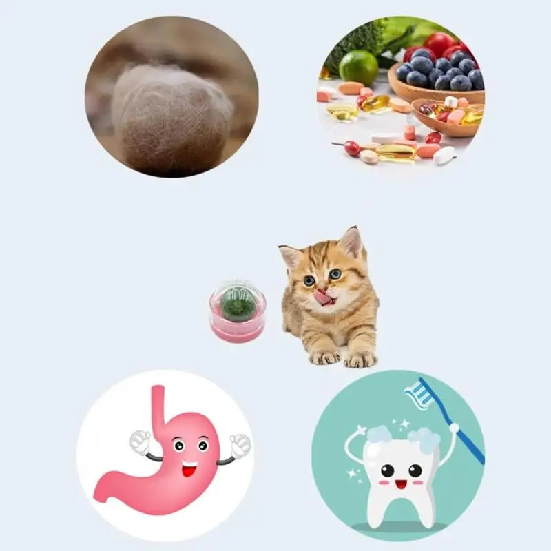 3-Pack Catnip Chew Balls — Interactive Teething Toy Set for Cats & Kittens