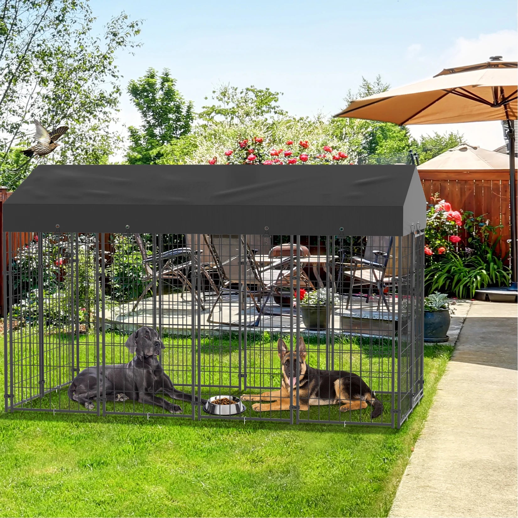 Outdoor Dog Kennel Run with Canopy Cover & Ground Stakes