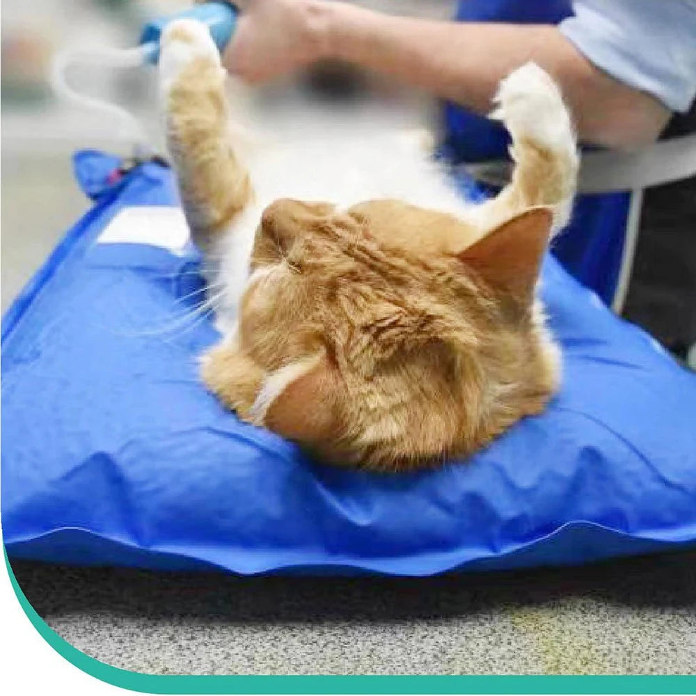 Veterinary Vacuum Positioning Mat for Pet Exams