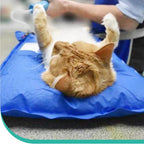 Veterinary Vacuum Positioning Mat for Pet Exams