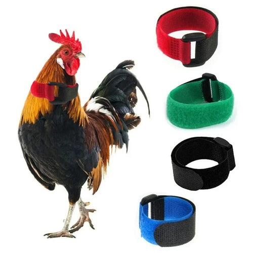 No-Crow Rooster Collar — Adjustable Nylon Chicken Collar