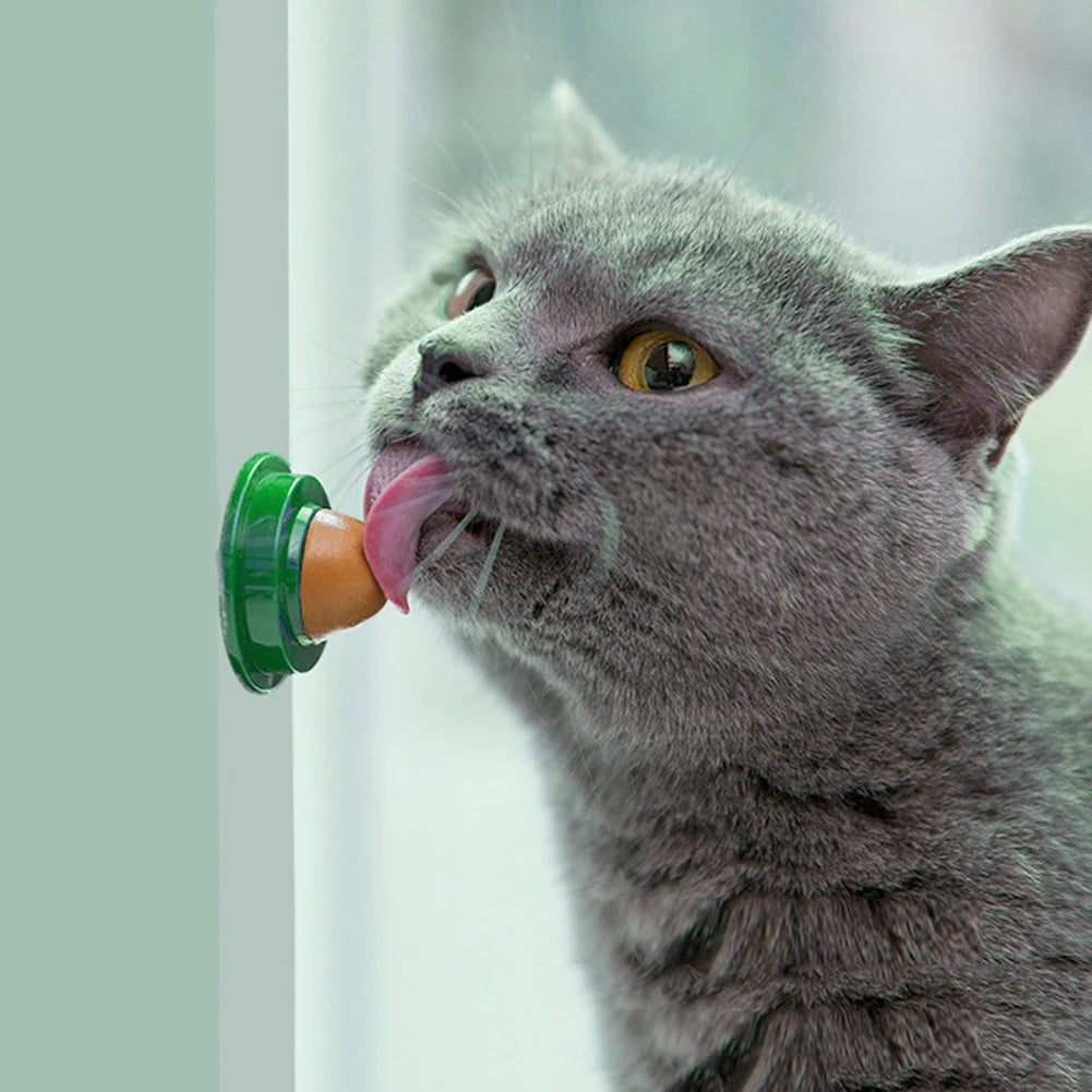 Catnip Licking Gel Treats for Kittens — Nutrition Candy Cats Love