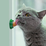 Catnip Licking Gel Treats for Kittens — Nutrition Candy Cats Love