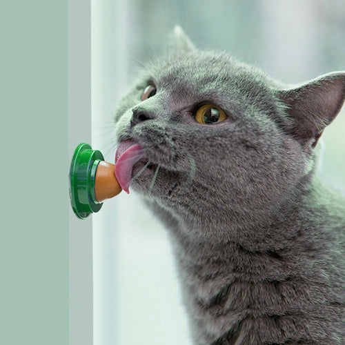 Catnip Licking Gel Treats for Kittens — Nutrition Candy Cats Love