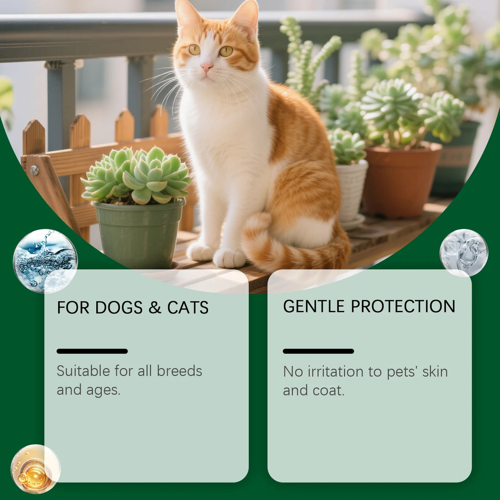 Natural Flea & Tick Repellent Spray — Whole-Body & Home Protection