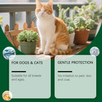 Natural Flea & Tick Repellent Spray — Whole-Body & Home Protection