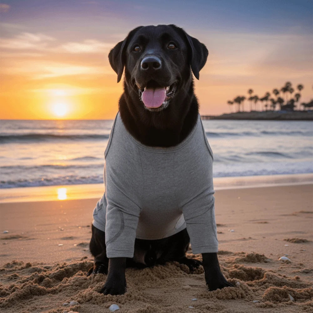 Dog Long-Sleeve Recovery Sleeve (Breathable, Anti-Lick, High Elasticity, Leg)